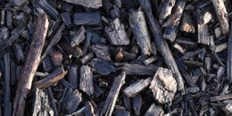 Base Note: Roasted Oak