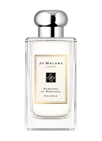 Verbenas of Provence