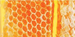 Base Note: Beeswax