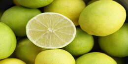 Top Note: Bergamot