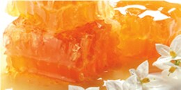 Heart Note: Acacia Honey