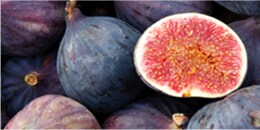 Top Note: Wild Fig